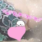 ヒメ日記 2026/03/11 11:30 投稿 櫻井 しゅうかつ倶楽部