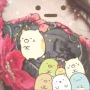 ヒメ日記 2026/03/14 08:00 投稿 櫻井 しゅうかつ倶楽部