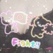 ヒメ日記 2026/03/16 08:00 投稿 櫻井 しゅうかつ倶楽部