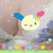 ヒメ日記 2026/03/16 15:30 投稿 櫻井 しゅうかつ倶楽部