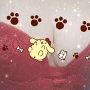 ヒメ日記 2026/03/18 12:00 投稿 櫻井 しゅうかつ倶楽部