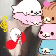 ヒメ日記 2026/03/21 08:00 投稿 櫻井 しゅうかつ倶楽部