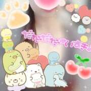 ヒメ日記 2026/03/27 11:30 投稿 櫻井 しゅうかつ倶楽部