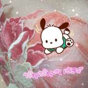 ヒメ日記 2026/03/27 18:00 投稿 櫻井 しゅうかつ倶楽部