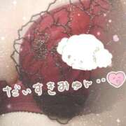 ヒメ日記 2026/03/28 18:30 投稿 櫻井 しゅうかつ倶楽部