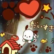 ヒメ日記 2026/04/02 15:30 投稿 櫻井 しゅうかつ倶楽部