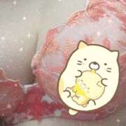 ヒメ日記 2026/04/10 13:00 投稿 櫻井 しゅうかつ倶楽部