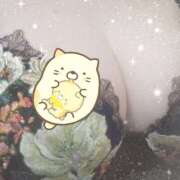 ヒメ日記 2026/04/11 18:30 投稿 櫻井 しゅうかつ倶楽部