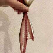 ヒメ日記 2026/03/14 00:23 投稿 しおり 五反田痴女性感フェチ倶楽部