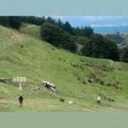 ヒメ日記 2026/03/27 00:13 投稿 しおり 五反田痴女性感フェチ倶楽部