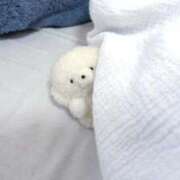 ヒメ日記 2026/03/02 15:25 投稿 せりな 高級オナクラ　ひよこクラブ