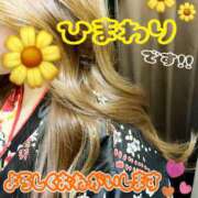 ヒメ日記 2026/03/06 20:02 投稿 ひまわり 綺麗＆kirei