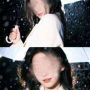 ヒメ日記 2026/03/08 16:17 投稿 井川遙 癒しの極み アライズの匠