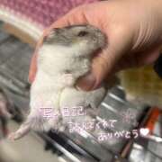 ヒメ日記 2026/03/13 19:46 投稿 あおい 癒 -いやし‐