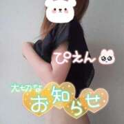 みさき ごめんなさい😭 船橋桃色の妻たち