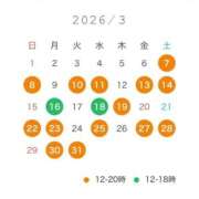 ヒメ日記 2026/03/06 15:12 投稿 りな【期待の新人Part1】 ポニーテール和歌山店