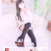 ヒメ日記 2026/03/31 00:00 投稿 葉月 れいな ハレ系 福岡DEまっとる。＆ひよこ治療院