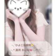 ヒメ日記 2026/07/13 04:15 投稿 葉月 れいな ハレ系 福岡DEまっとる。＆ひよこ治療院
