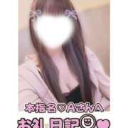 ヒメ日記 2026/08/12 23:00 投稿 葉月 れいな ハレ系 福岡DEまっとる。＆ひよこ治療院