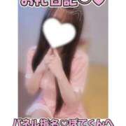 ヒメ日記 2026/08/17 23:30 投稿 葉月 れいな ハレ系 福岡DEまっとる。＆ひよこ治療院