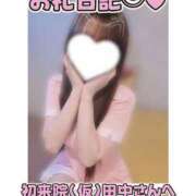 ヒメ日記 2026/08/21 23:30 投稿 葉月 れいな ハレ系 福岡DEまっとる。＆ひよこ治療院