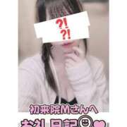 ヒメ日記 2026/08/31 23:15 投稿 葉月 れいな ハレ系 福岡DEまっとる。＆ひよこ治療院