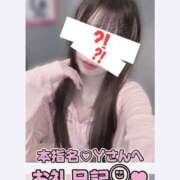 ヒメ日記 2026/08/31 23:30 投稿 葉月 れいな ハレ系 福岡DEまっとる。＆ひよこ治療院