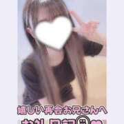 ヒメ日記 2026/09/14 23:15 投稿 葉月 れいな ハレ系 福岡DEまっとる。＆ひよこ治療院