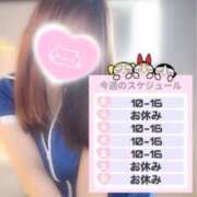 ヒメ日記 2026/06/01 08:00 投稿 長谷川 ひかる ハレ系 福岡DEまっとる。＆ひよこ治療院