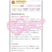 ヒメ日記 2026/09/13 21:44 投稿 長谷川 ひかる ハレ系 福岡DEまっとる。＆ひよこ治療院