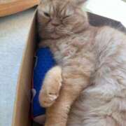 ヒメ日記 2026/03/16 20:04 投稿 尾崎　まほ ホットポイントヴィラ