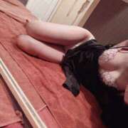 ヒメ日記 2026/04/07 20:07 投稿 尾崎　まほ ホットポイントヴィラ