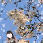 ヒメ日記 2026/03/22 16:46 投稿 井川ゆずか MADAM