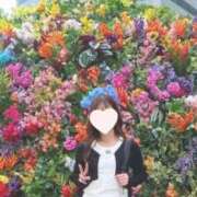 ヒメ日記 2026/03/29 06:16 投稿 井川ゆずか MADAM