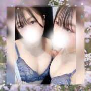 しき 今のうちに！ ミルキーパイ