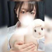 ヒメ日記 2026/04/11 19:18 投稿 しき ミルキーパイ