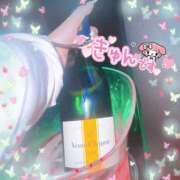 ヒメ日記 2026/03/11 18:18 投稿 のい ミルキーパイ