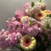 みる ミルキーパイ初出勤🐶 ミルキーパイ