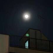 ヒメ日記 2026/03/10 07:18 投稿 みる ミルキーパイ