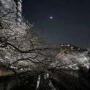 ヒメ日記 2026/03/29 10:28 投稿 みる ミルキーパイ