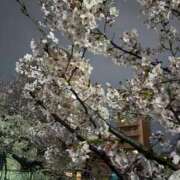 ヒメ日記 2026/04/02 08:18 投稿 みる ミルキーパイ