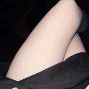 みる 出勤してます🐶 ミルキーパイ