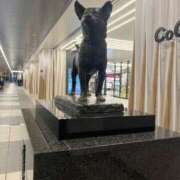 ヒメ日記 2026/04/10 13:22 投稿 湯川真奈美 奥様特急三条店