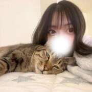 ヒメ日記 2026/03/04 13:13 投稿 ななみ ピンクスター