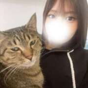 ヒメ日記 2026/03/11 16:44 投稿 ななみ ピンクスター