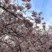 工藤 あいか おはなみ🌸 Men's relaxation VEGA