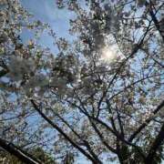 ヒメ日記 2026/03/27 17:16 投稿 あや 京都の痴女鉄道