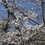 ゆきな ひさしぶり〜！ クリステル