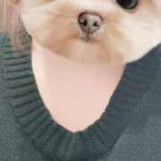 ヒメ日記 2026/03/07 18:06 投稿 まい スピードエコ梅田店