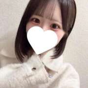 ヒメ日記 2026/03/01 14:02 投稿 ひめ 横浜シンデレラ（シンデレラグループ）